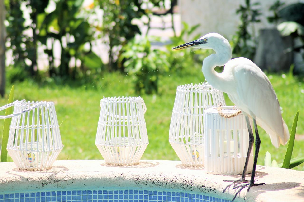 Maya Hotel Residence Isla Holbox Exterior photo