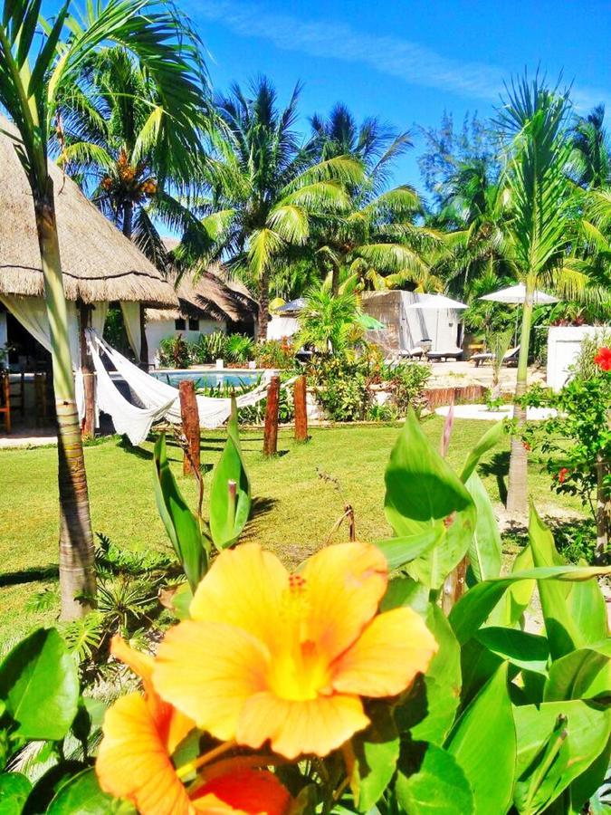 Maya Hotel Residence Isla Holbox Exterior photo